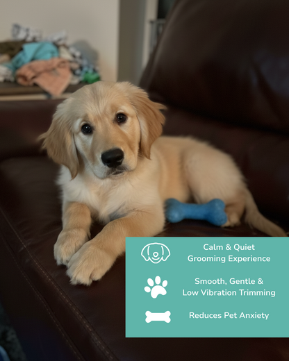 TranquilPaw™ Pro Series Groomer